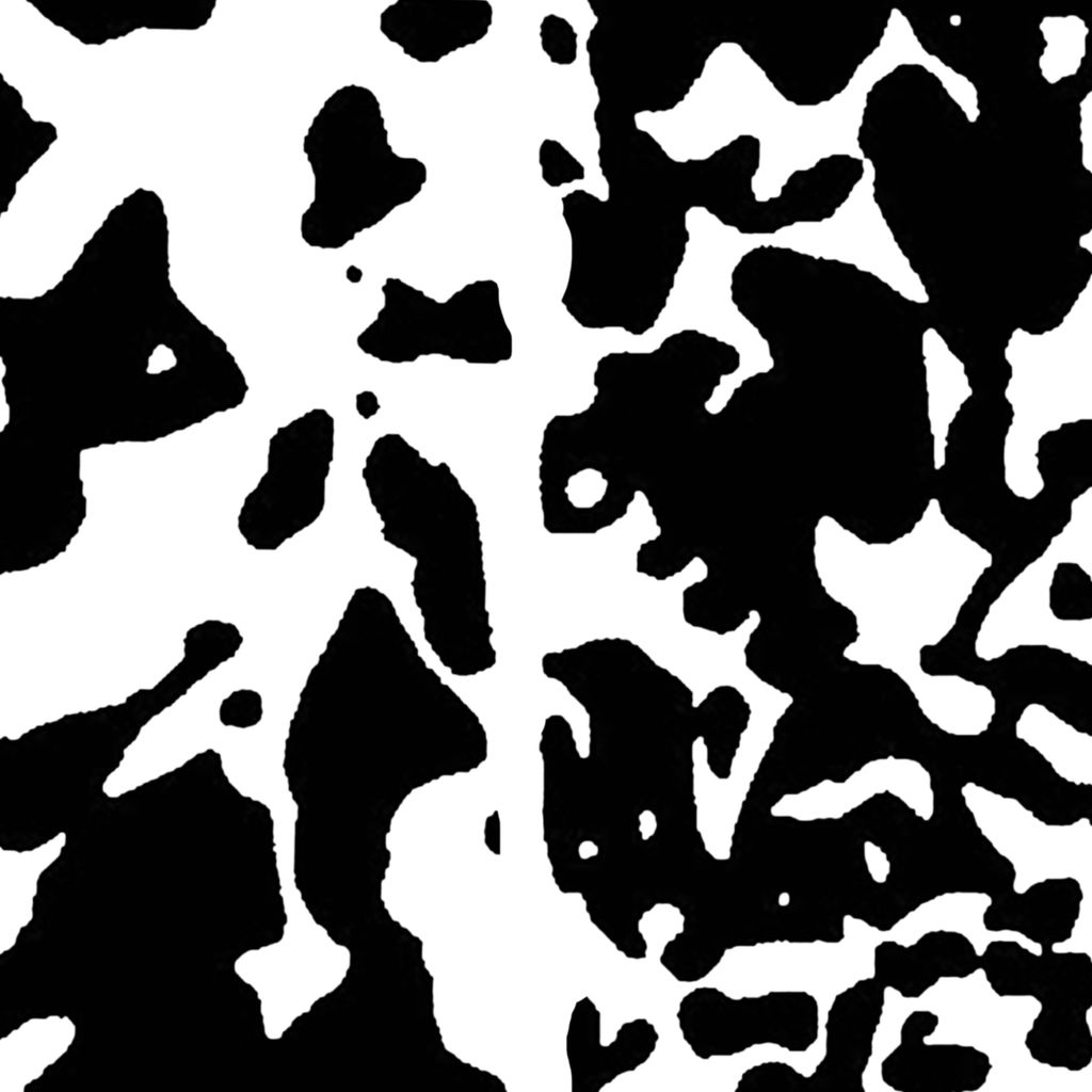 Picture of Cow Print