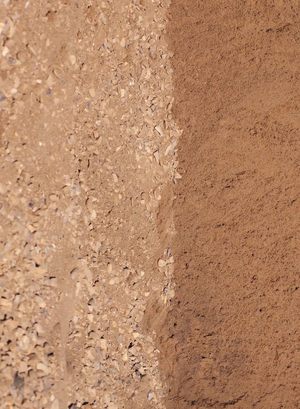 Picture of Earth Tones