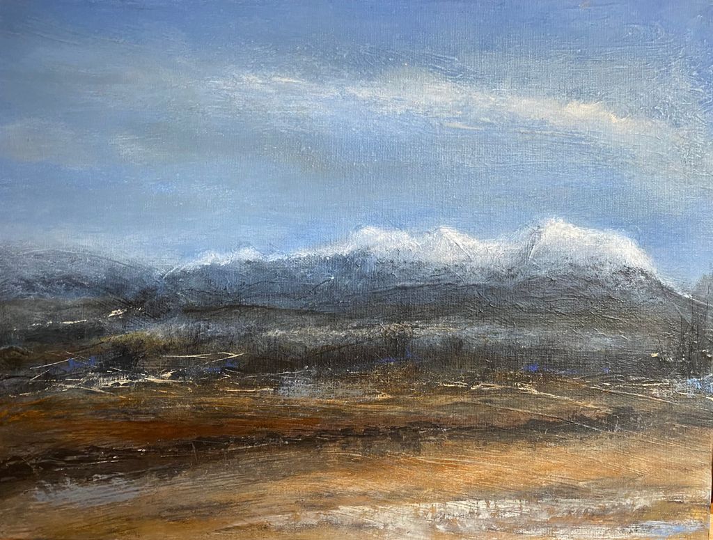Picture of Mt.Arrowsmith 