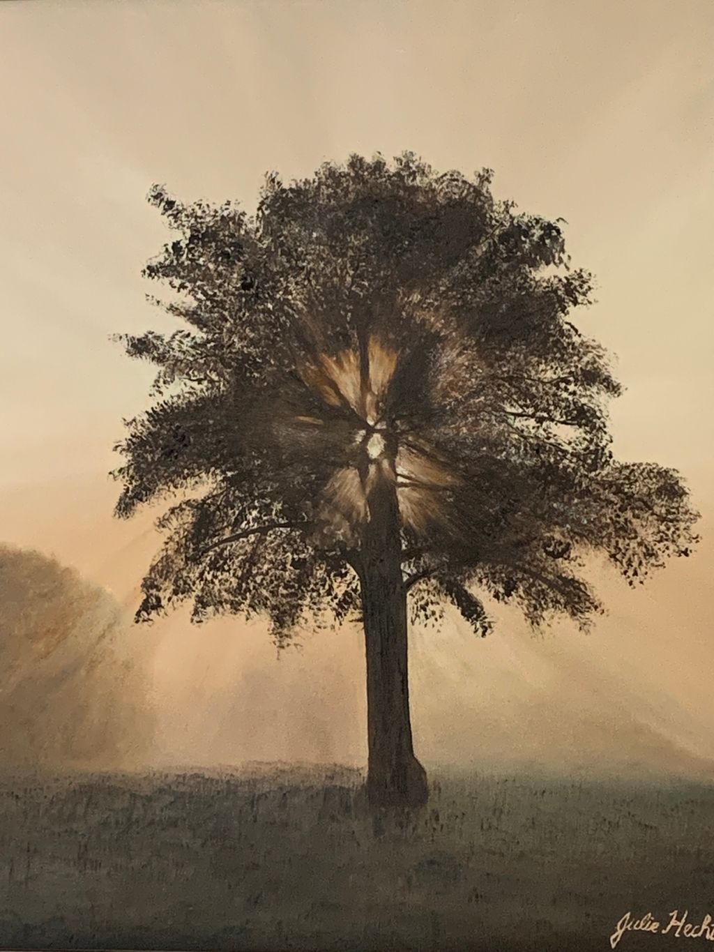 Picture of Sunburst