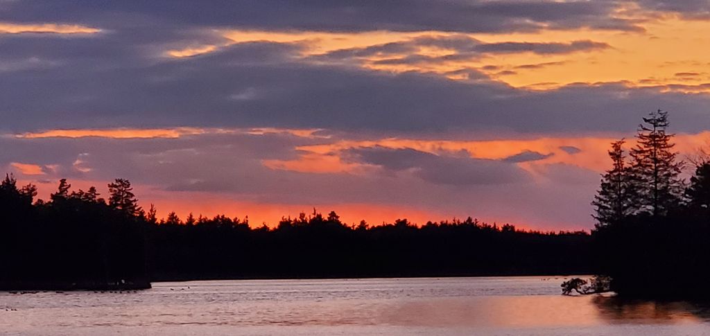 Picture of Sunset2