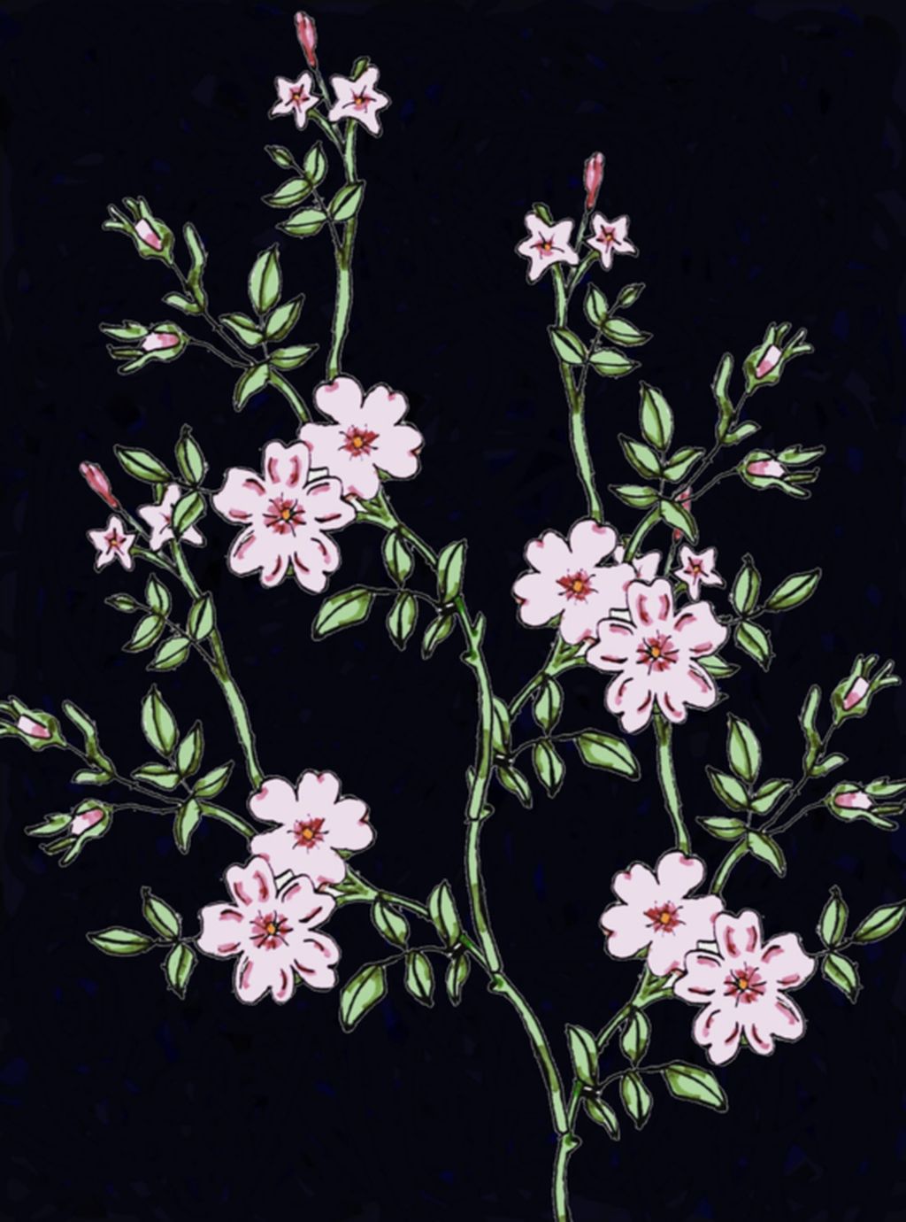 Picture of Cherry Blossom