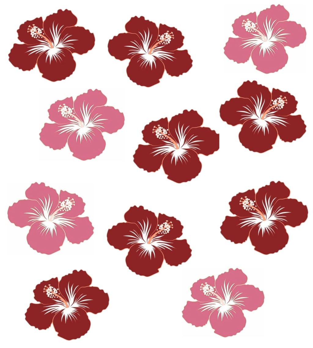 Picture of Hibiscus