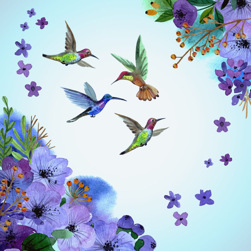 Purple Hummingbirds And Flowers