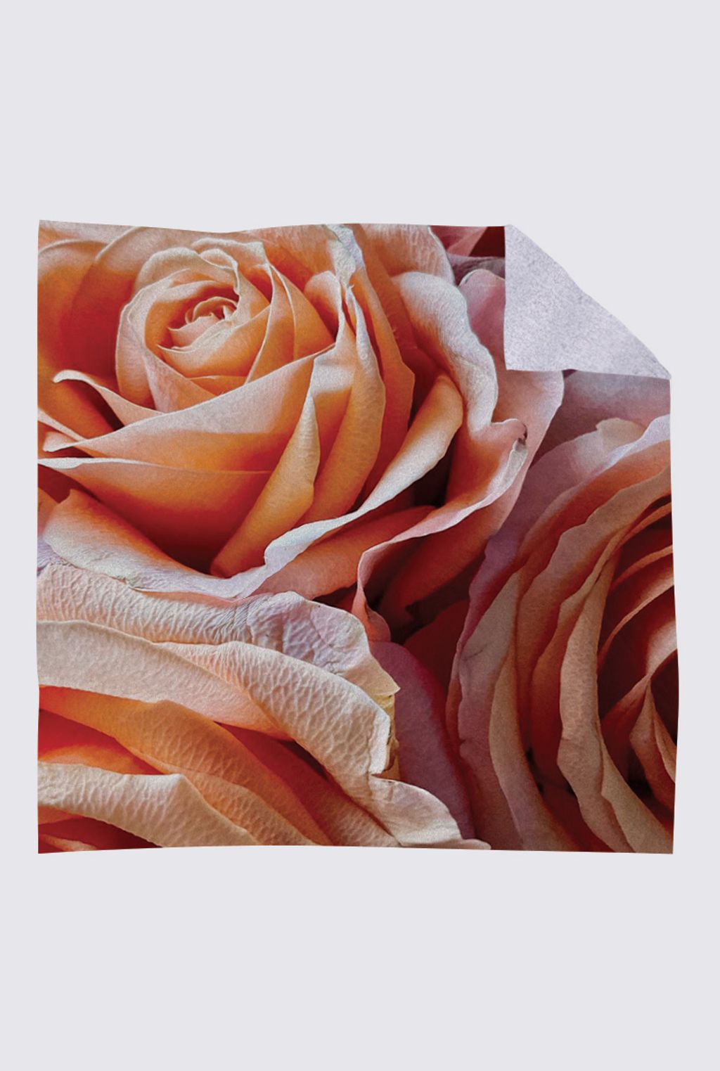 Picture of ROSES ONE Blanche Blanket Scarf