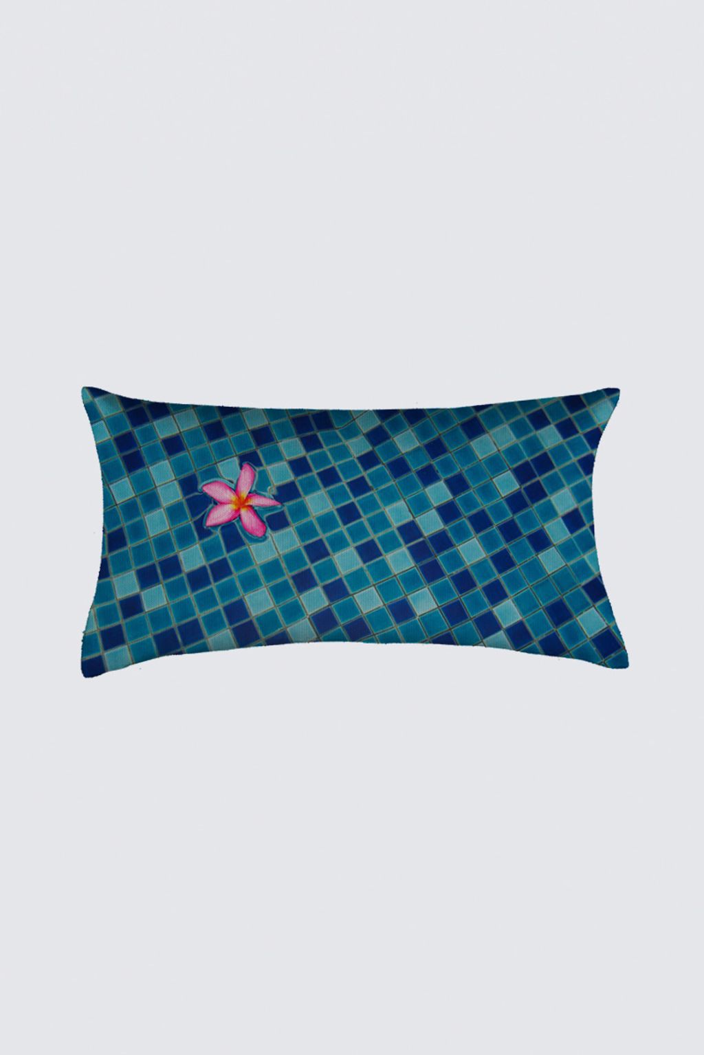 Picture of Blue and pink  Arthur Cushion Cover