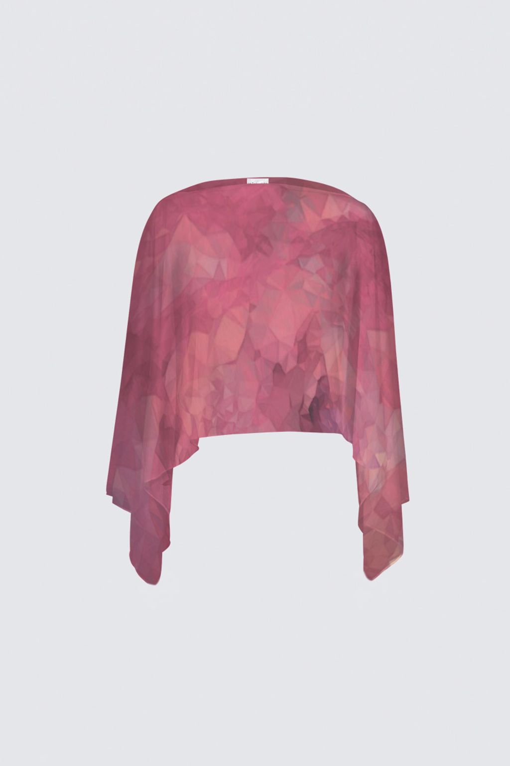 Picture of Pomegranate  Claudia Shawl