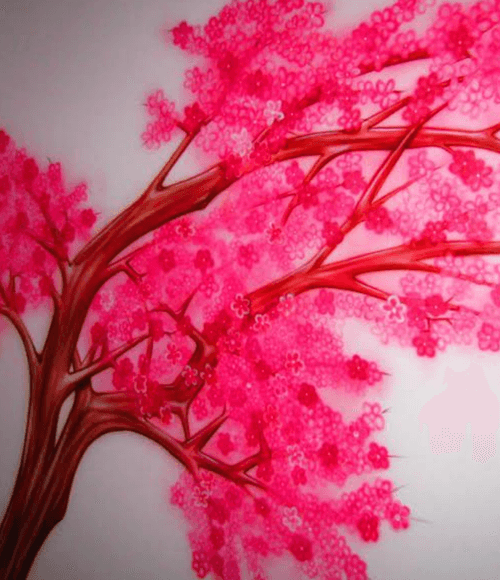 Picture of Cherry Blossom