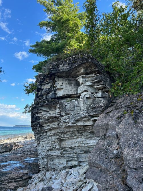Picture of Escarpment Beauty