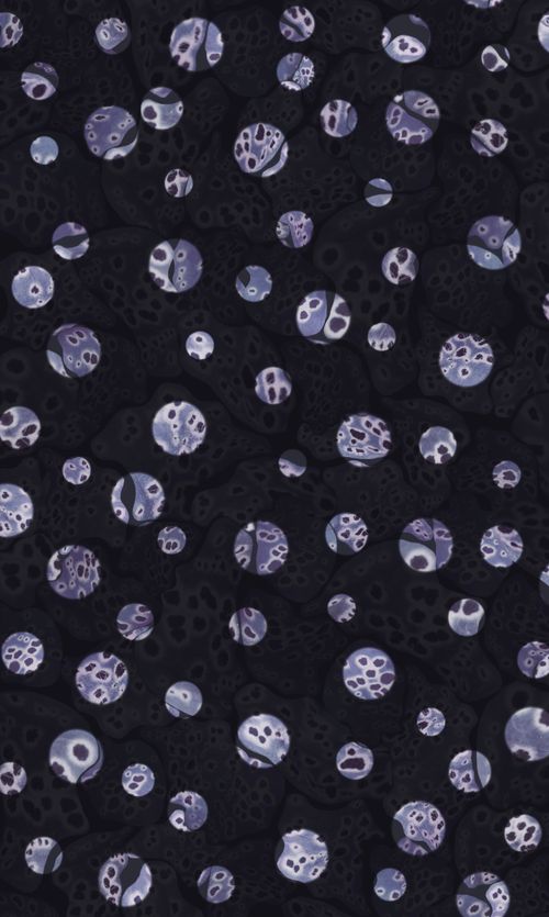 Picture of Cellular Grey