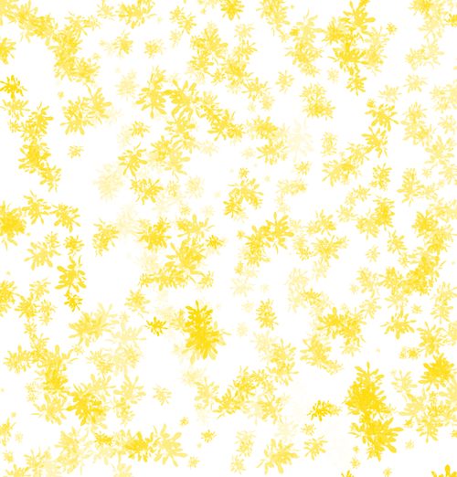 Picture of Fleur jaune