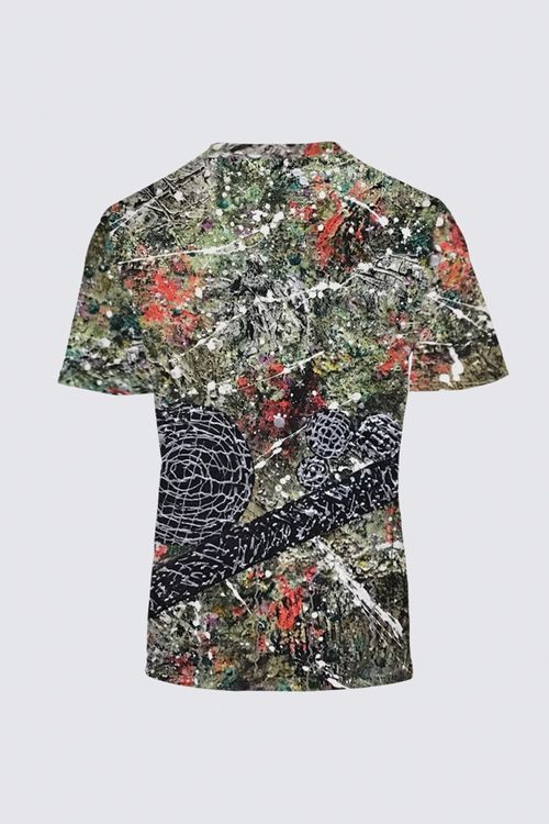 Picture of Earth MSS07