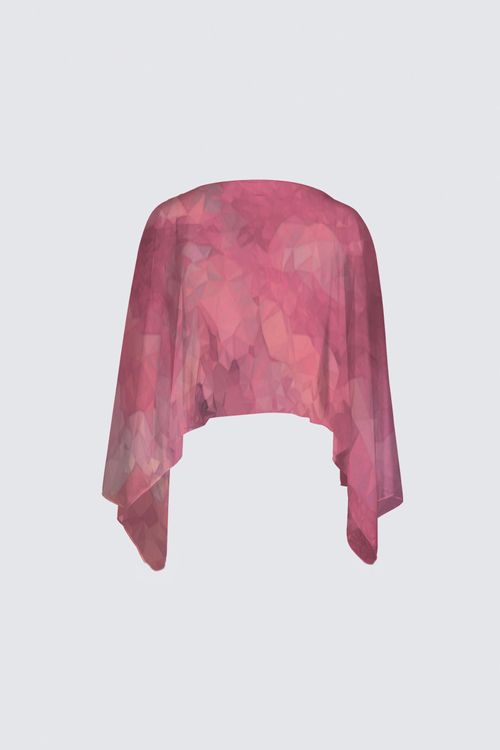 Picture of Pomegranate  Claudia Shawl