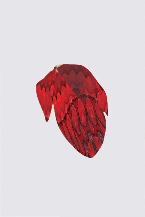 Picture of Scarlet passion Melinda Scarf