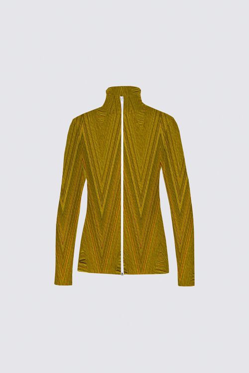 Picture of Golden Start Catherine Full-zip Active top