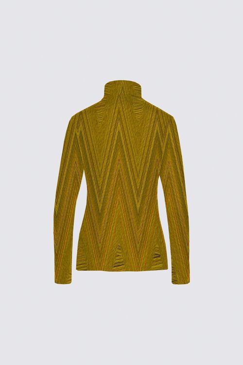 Picture of Golden Start Catherine Full-zip Active top