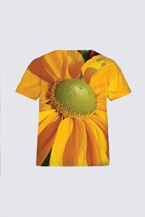 Picture of Joy Plus-Size Kiki Tee